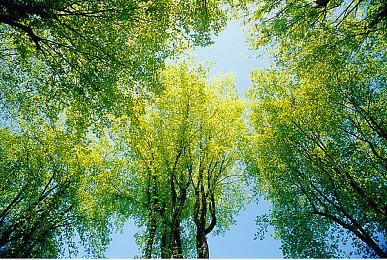 《合金装备3：重制版》迷彩伪装效果切换菜单公布